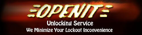 OpenIt Unlocking Services, Logo